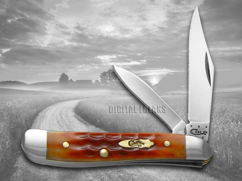 CASE XX Jigged Whiskey Bone Peanut Stainless Pocket Knives Knife eBay