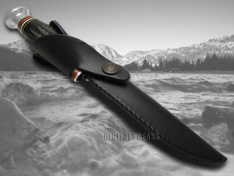 CASE XX Genuine Jigged Buffalo Horn Fixed Blade Hunter Stainless Knives