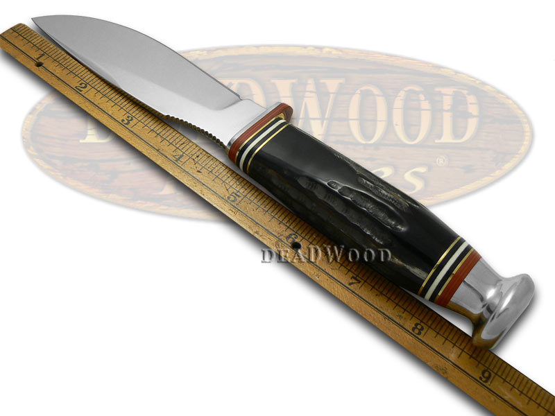 CASE XX Genuine Buffalo Horn Drop Point Fixed Blade Stainless Knife