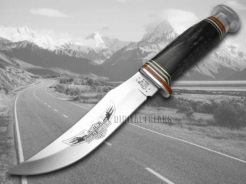 CASE XX HarleyDavidson Genuine Buffalo Horn Fixed Blade Hunter