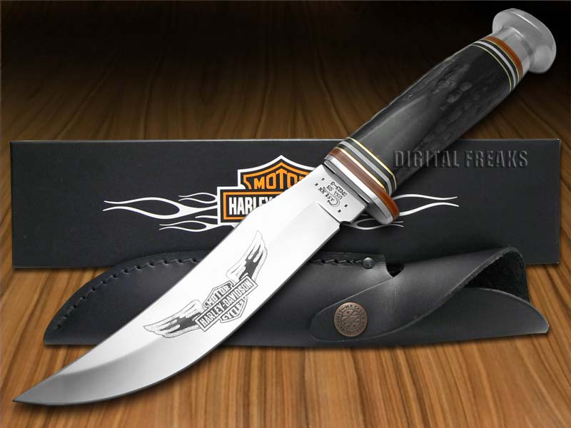 CASE XX HarleyDavidson Genuine Buffalo Horn Fixed Blade Hunter