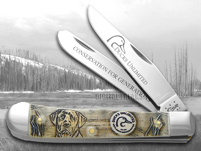 CASE XX Ducks Unlimited Embossed Natural Bone Trapper Pocket Knife