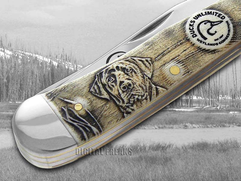 CASE XX Ducks Unlimited Embossed Natural Bone Trapper Pocket Knife