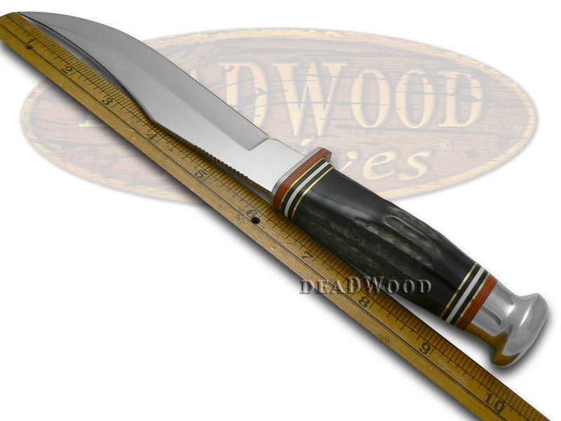 CASE XX Genuine Buffalo Horn Fixed Blade Hunter Stainless Knife 17910