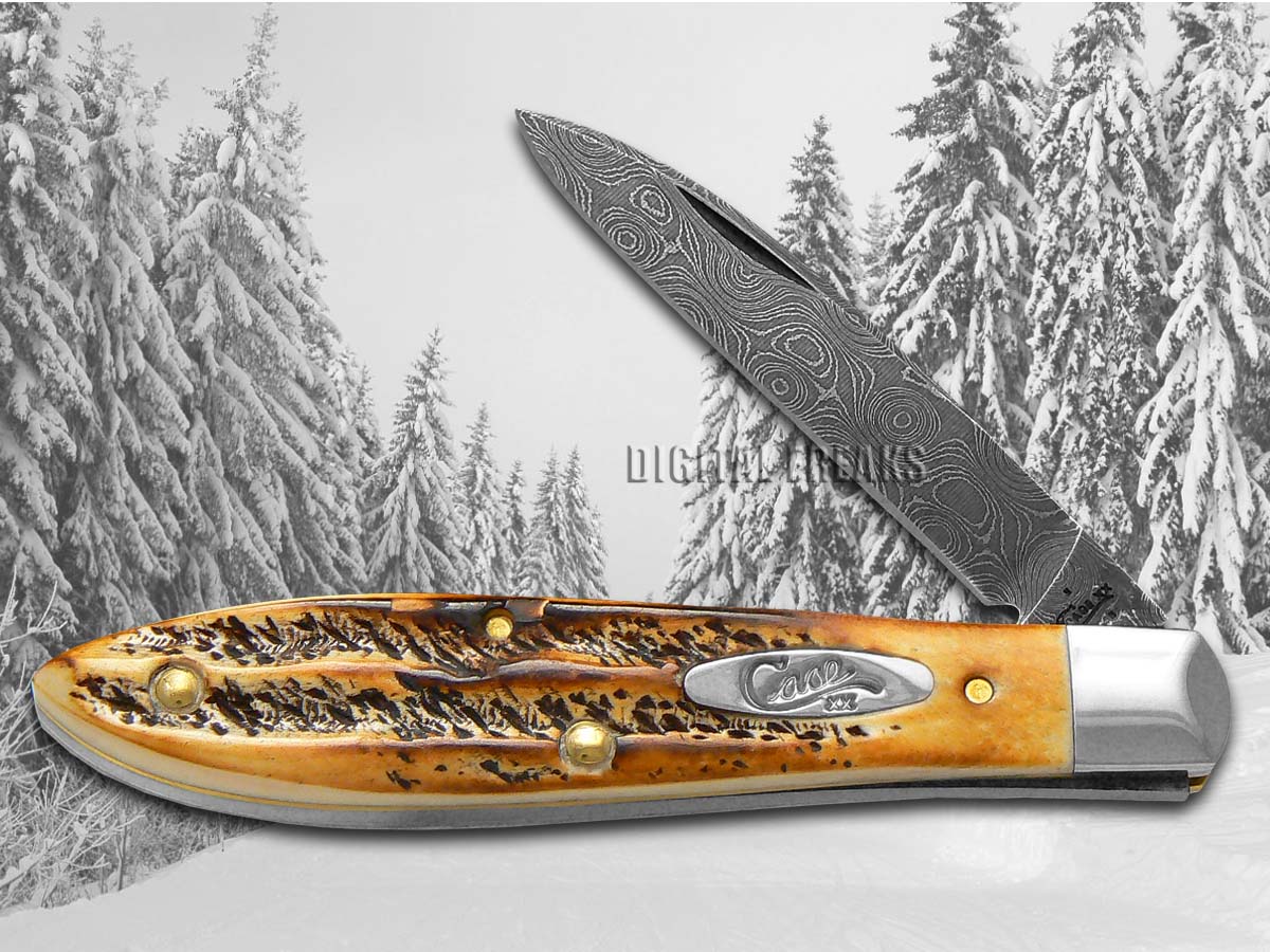CASE XX 6.5 Bone Stag Damascus Steel Tear Drop Gent Pocket Knife 34805